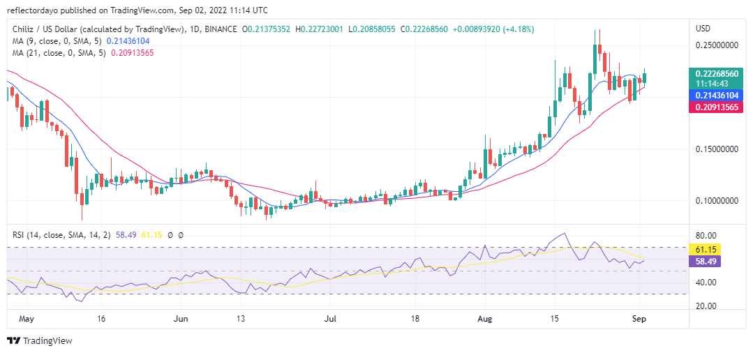 2nd-Daily-CHZUSD-2