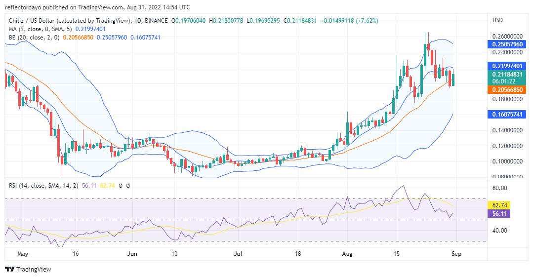 31st-Daily-CHZUSD