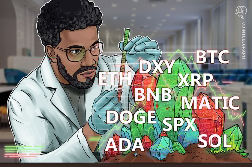 4e599c0e-8319-42e6-8bd7-880e110e817d