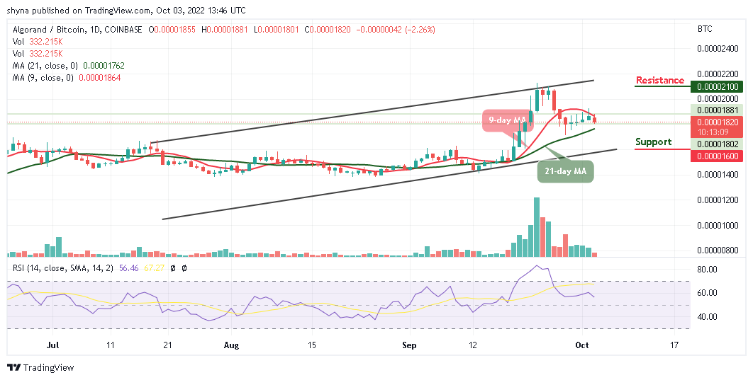 ALGOBTC_03102022