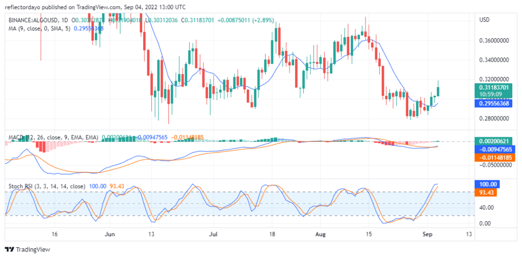 ALGOUSD-Daily