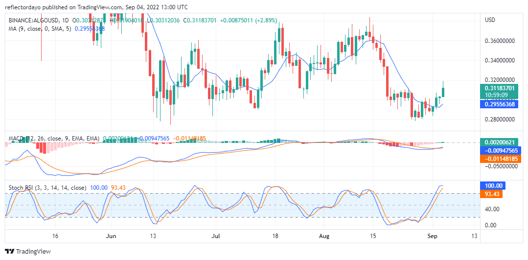 ALGOUSD-Daily