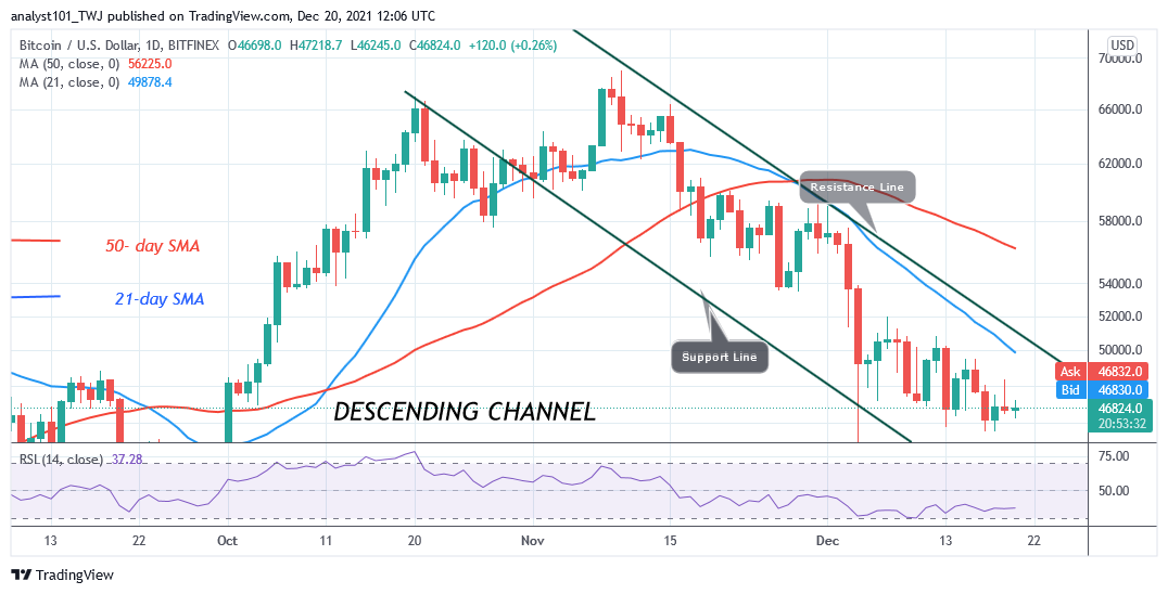 BTCUSD-Daily-Chart-December-20