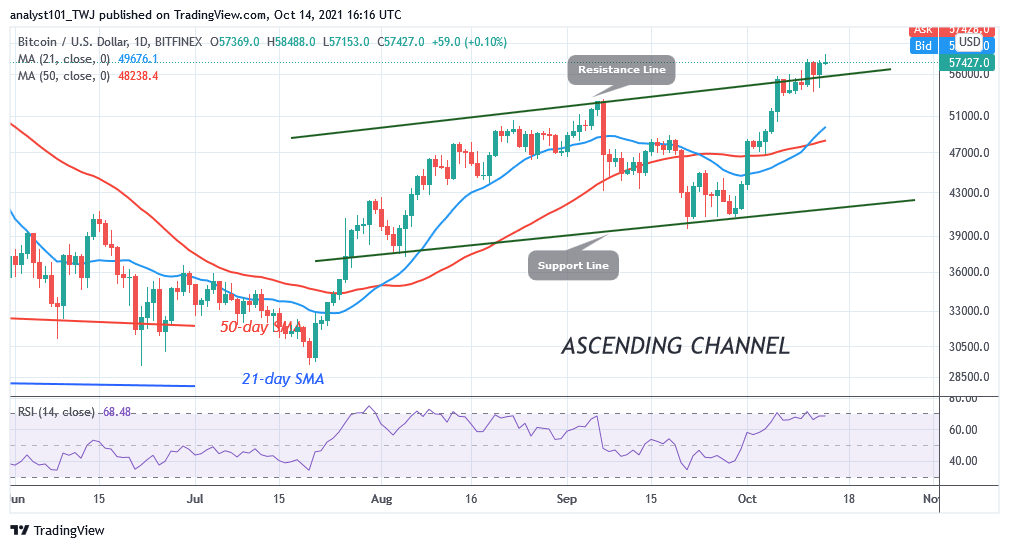 BTCUSD-Daily-Chart-OCT.14