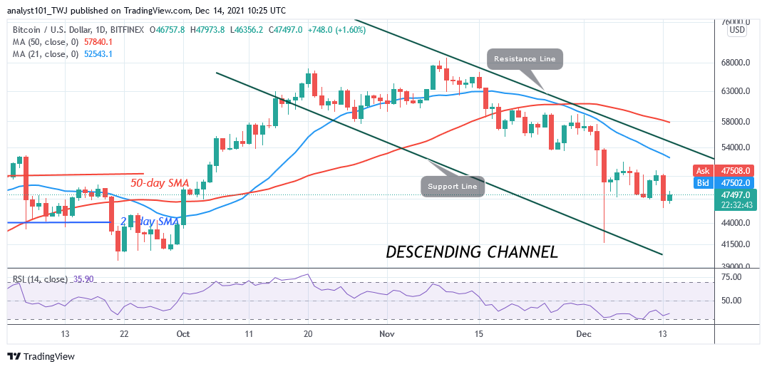 BTCUSDDaily-CHart-5-3