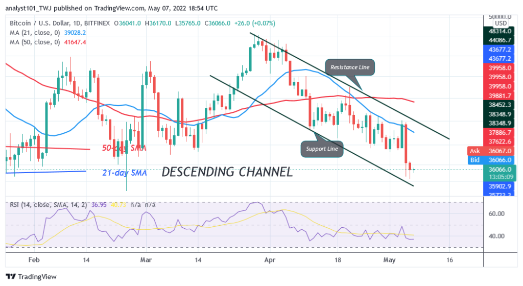 BTCUSDDaily-Chart-1-11