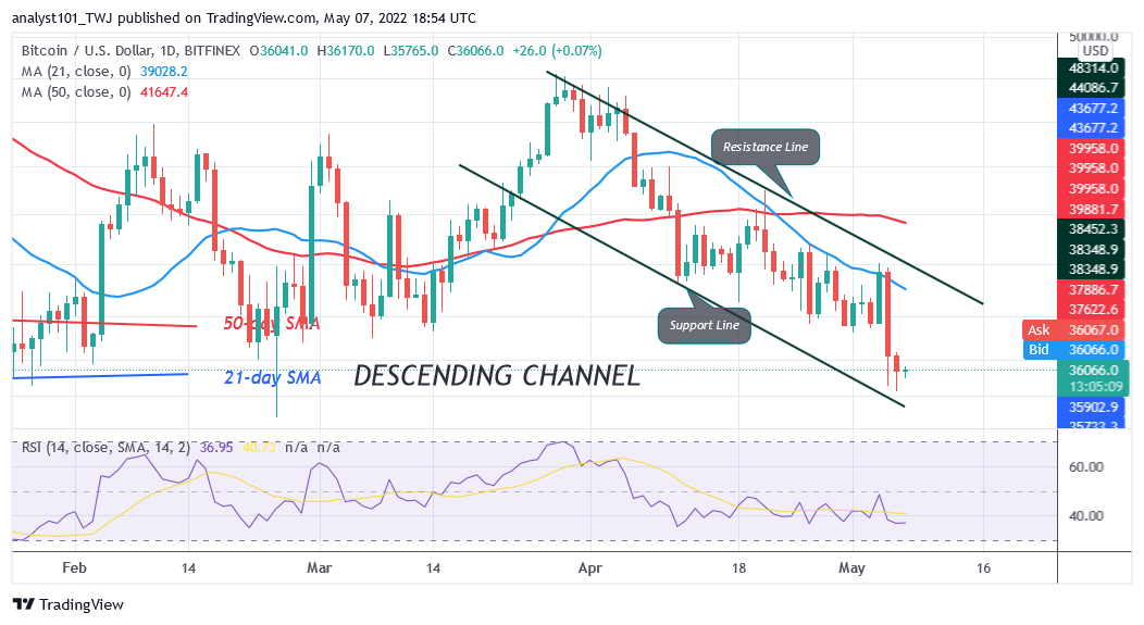 BTCUSDDaily-Chart-1-11
