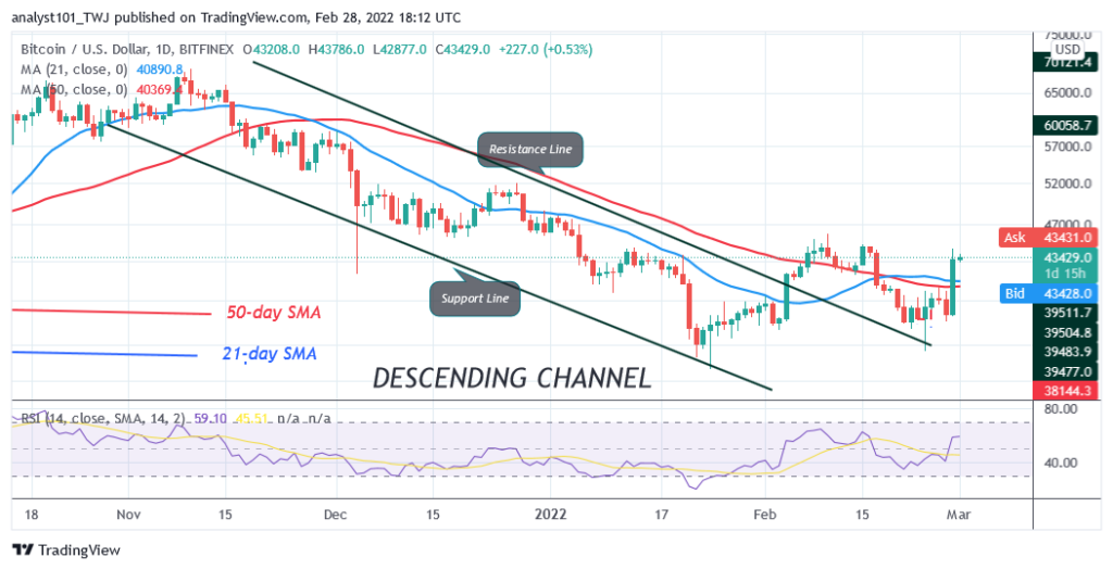 BTCUSDDaily-Chart-1-8
