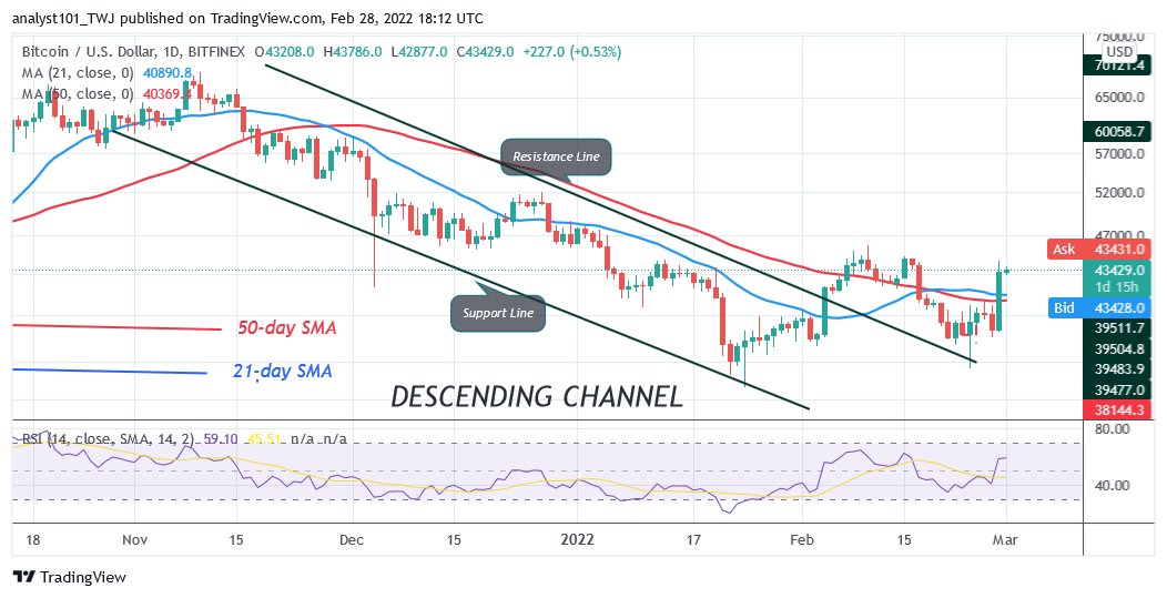 BTCUSDDaily-Chart-1-8