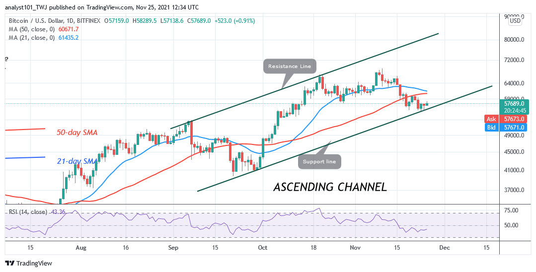 BTCUSDDaily-Chart-10-1