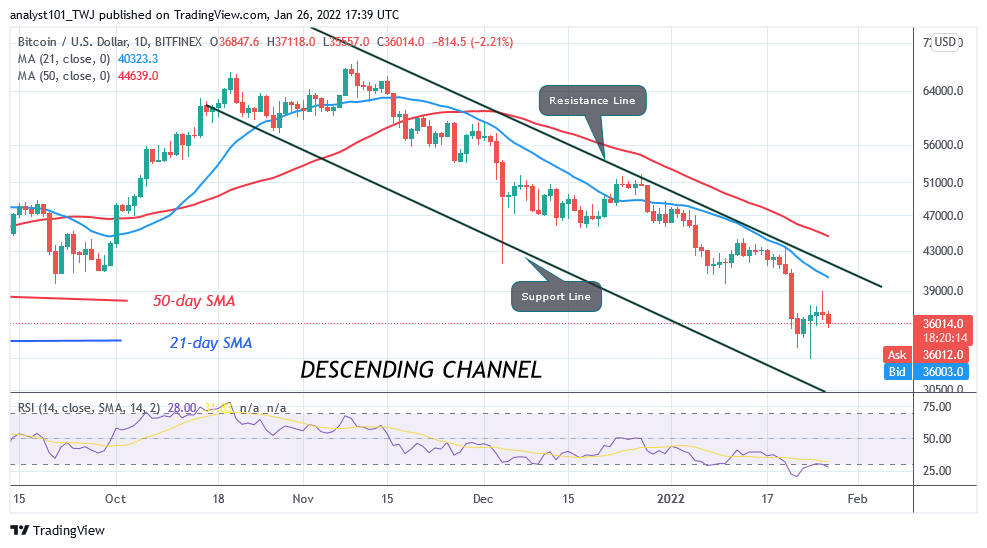 BTCUSDDaily-Chart-11-2