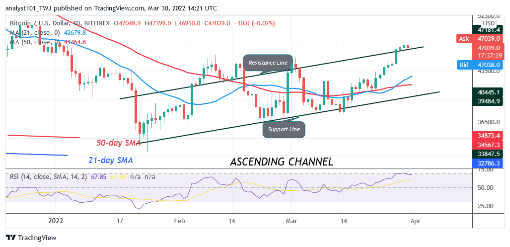 BTCUSDDaily-Chart-11-3