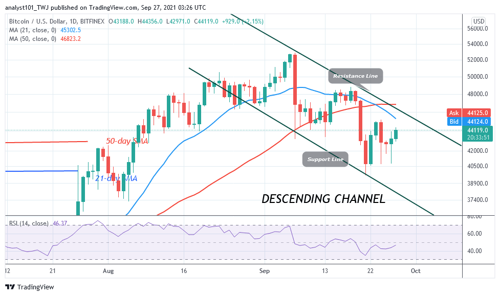 BTCUSDDaily-Chart-11