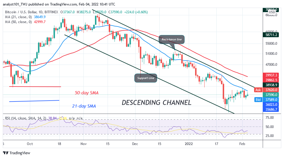 BTCUSDDaily-Chart-16
