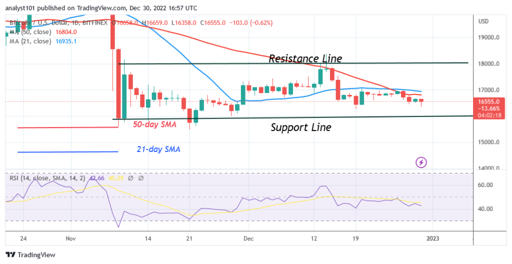 BTCUSDDaily-Chart-4-1024x528-1