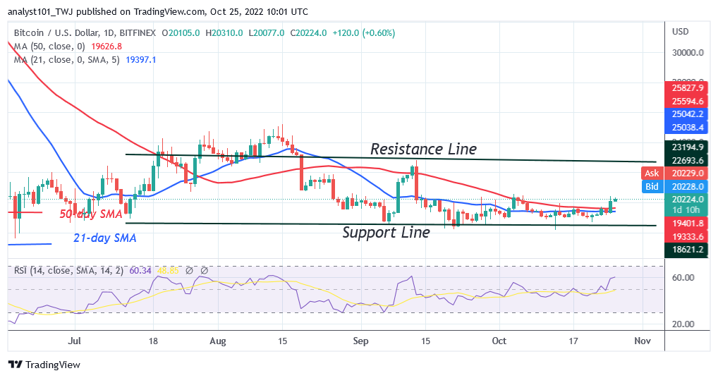 BTCUSDDaily-Chart-4-9
