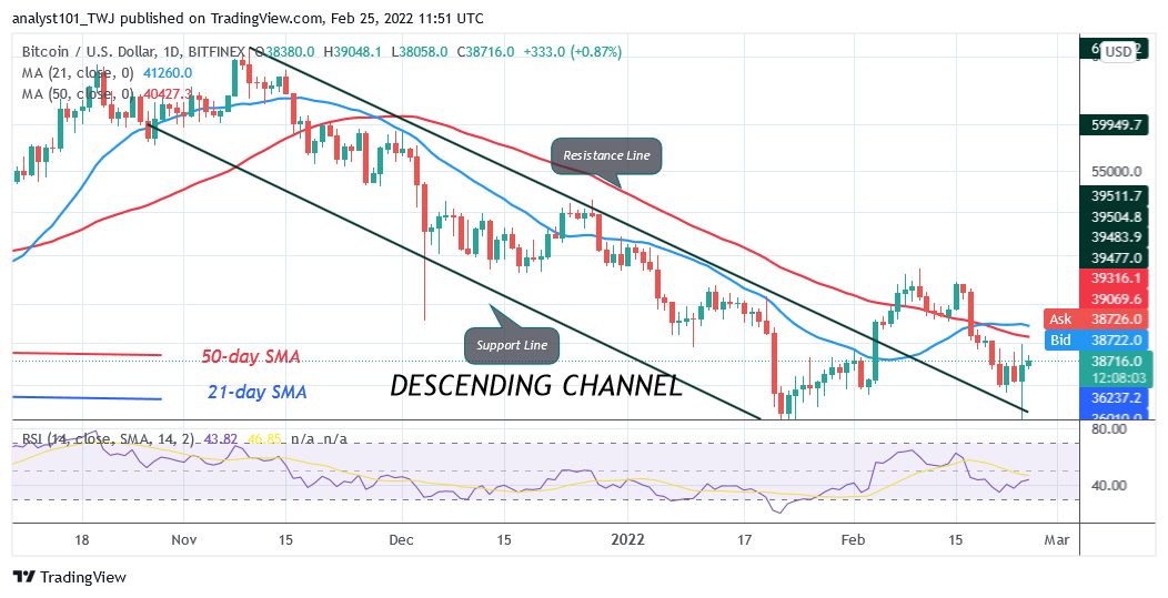 BTCUSDDaily-Chart-5-5