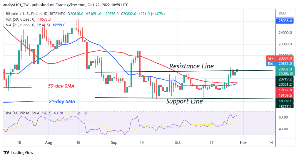 BTCUSDDaily-Chart-5-8