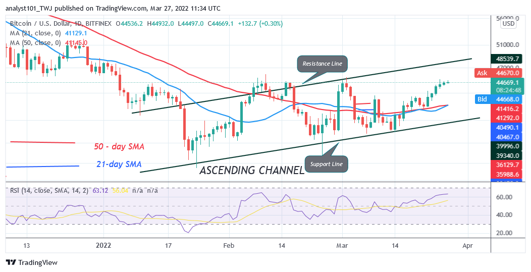 BTCUSDDaily-Chart-9-3