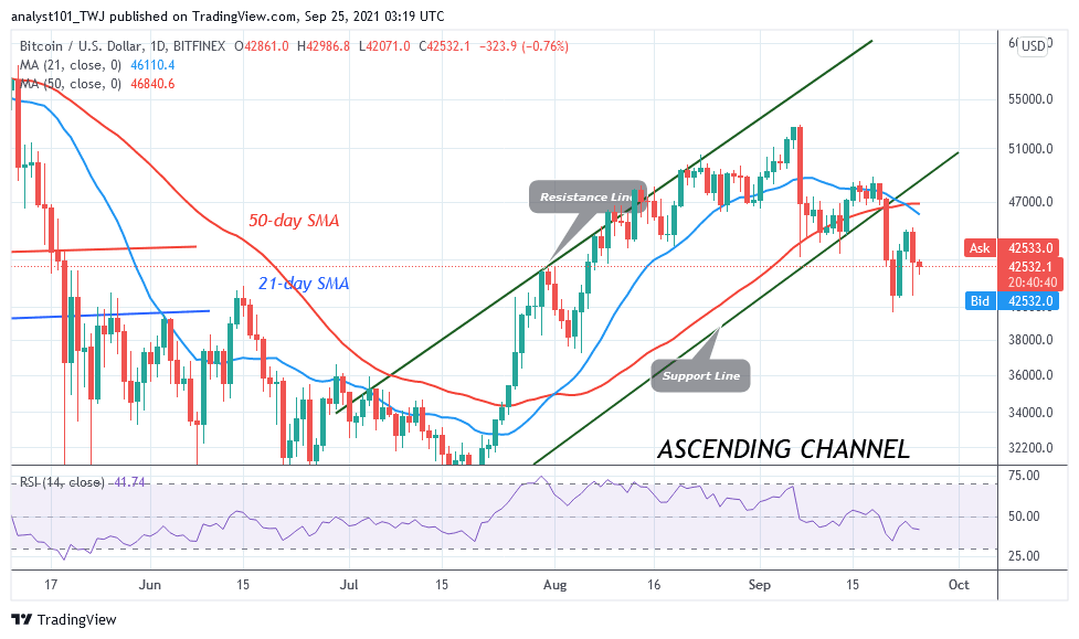 BTCUSDDaily-Chart-9