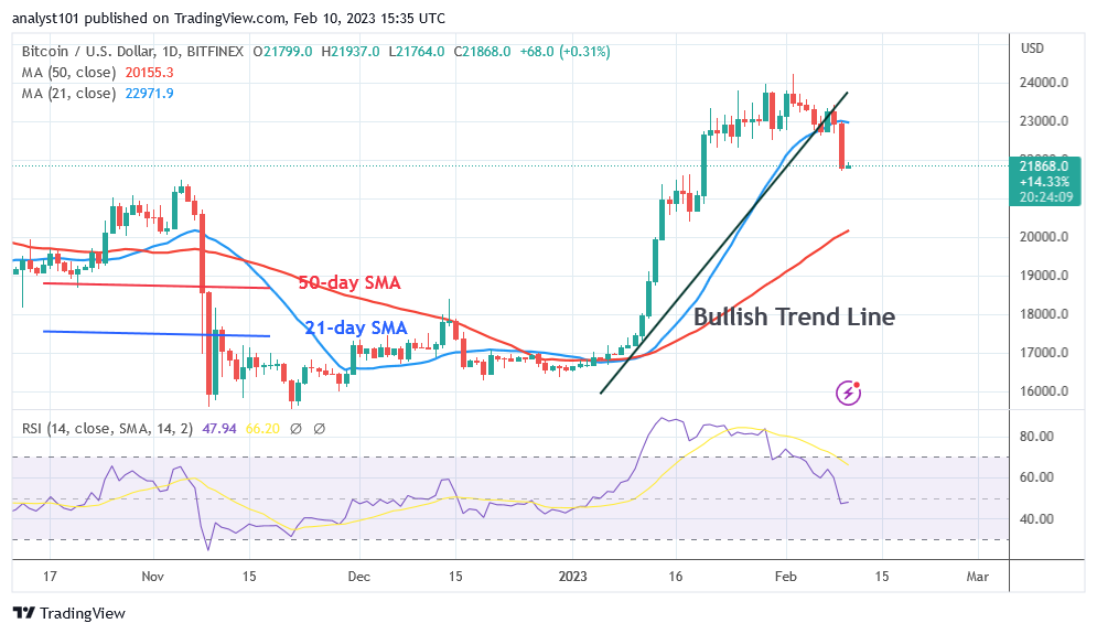 BTCUSDDaily-Chart-February-10
