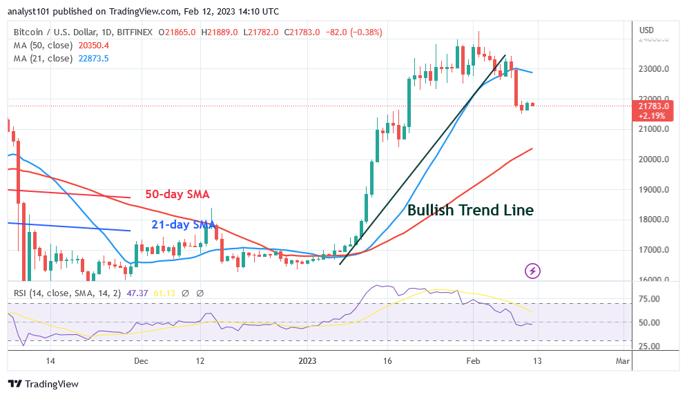 BTCUSDDaily-Chart-February-12-1