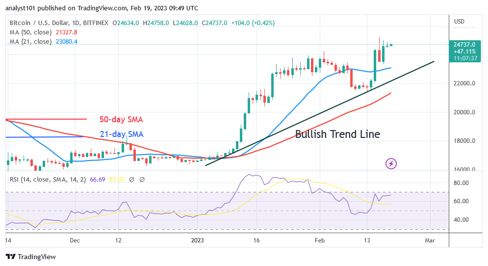 BTCUSDDaily-Chart-February-19