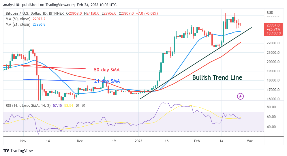BTCUSDDaily-Chart-February-24