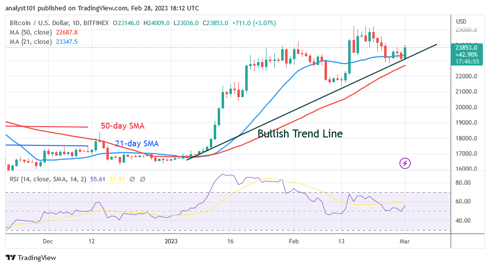 BTCUSDDaily-Chart-February-28