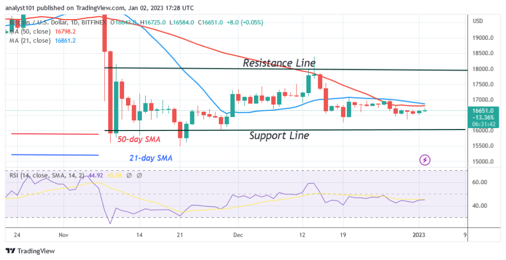 BTCUSDDaily-Chart-January-2-1024x528-1