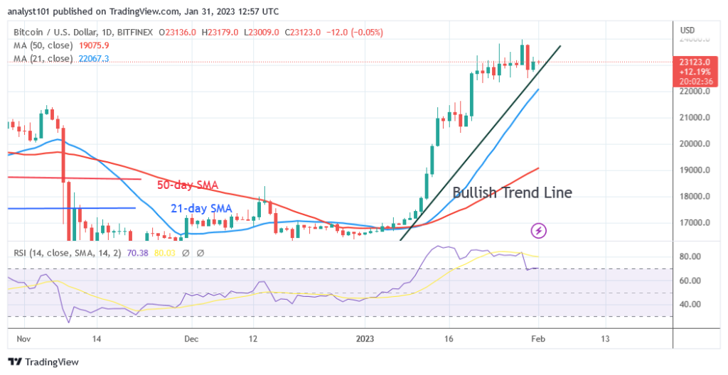 BTCUSDDaily-Chart-January-31-1024x528-1