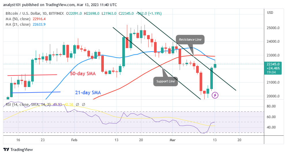 BTCUSDDaily-Chart-March-13