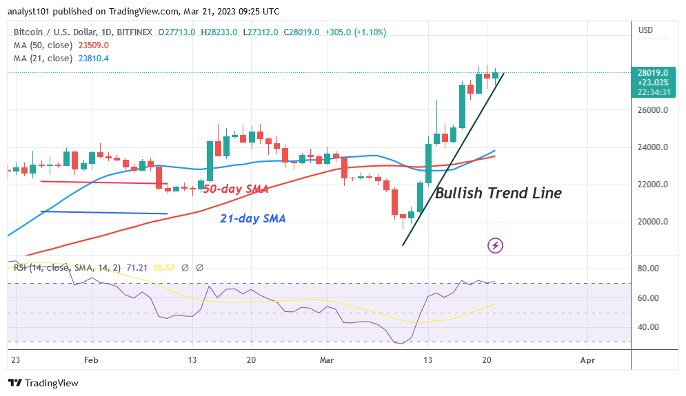 BTCUSDDaily-Chart-March-21-1