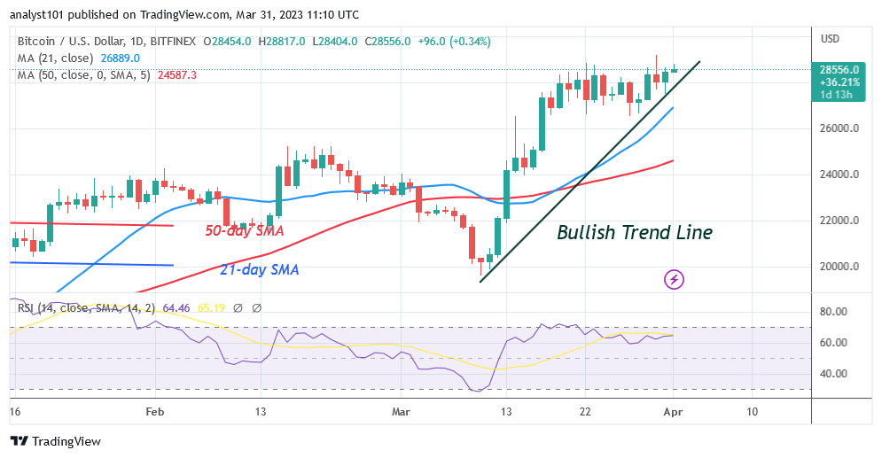 BTCUSDDaily-Chart-March-31-2