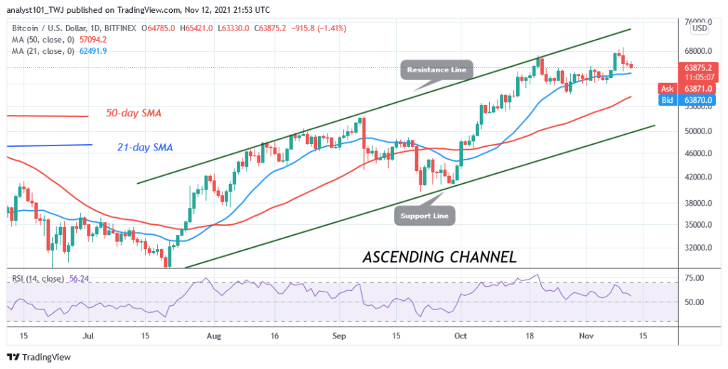 BTCUSDDaily-Chart-NOV.12