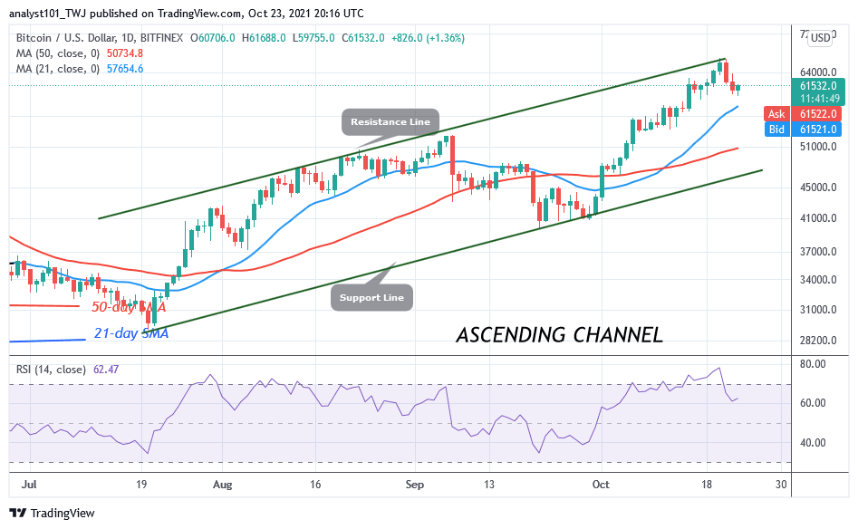 BTCUSDDaily-Chart-OCT.-23