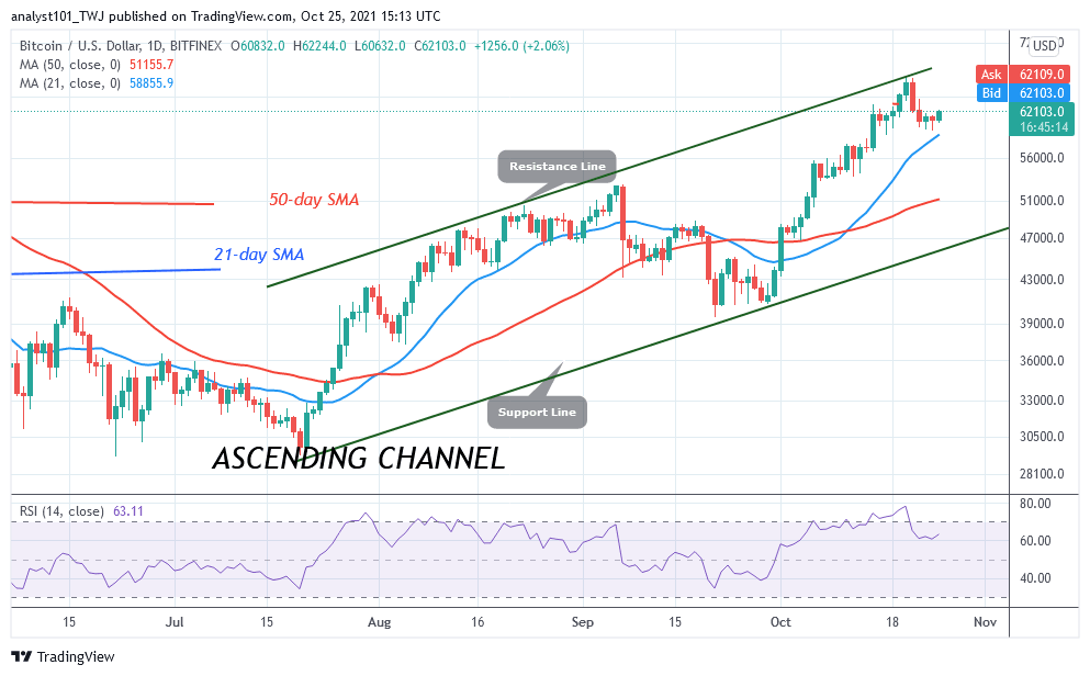 BTCUSDDaily-Chart-OCT.25