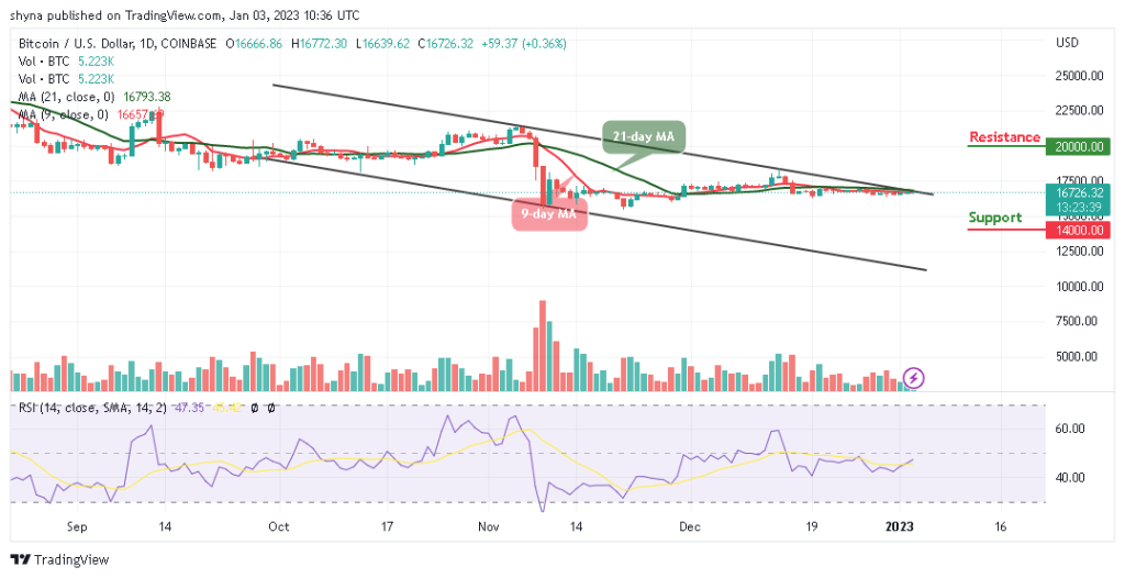 BTCUSD_1D_01012023-1024x526-1