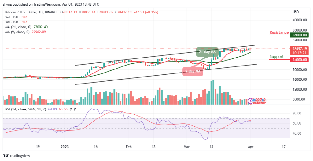 BTCUSD_1D_01042023-1024x526-1