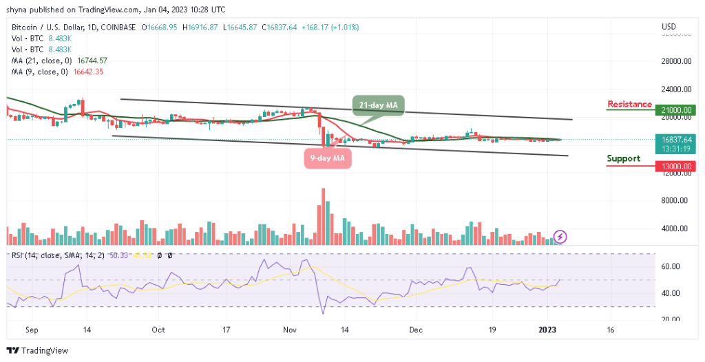 BTCUSD_1D_02012023-1024x526-1