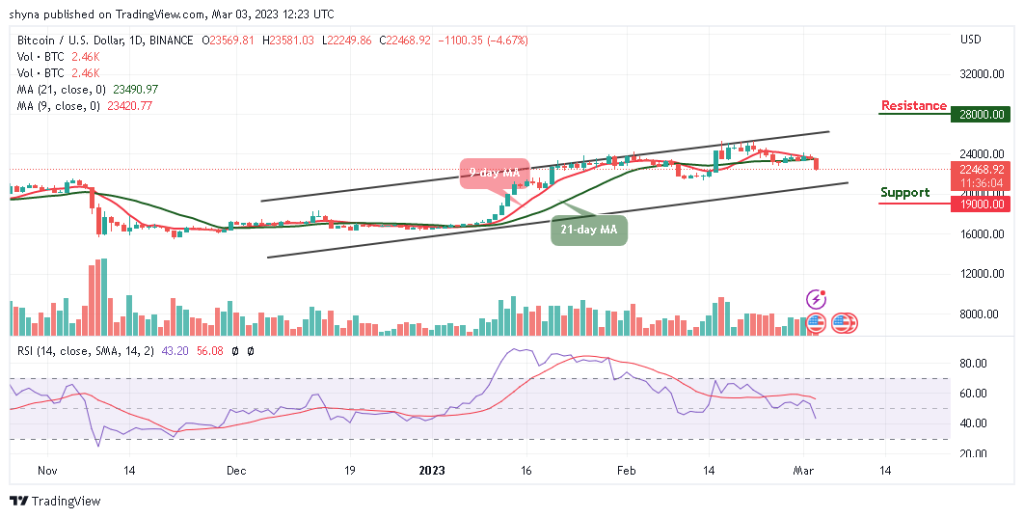 BTCUSD_1D_02032023-1-1024x518-1