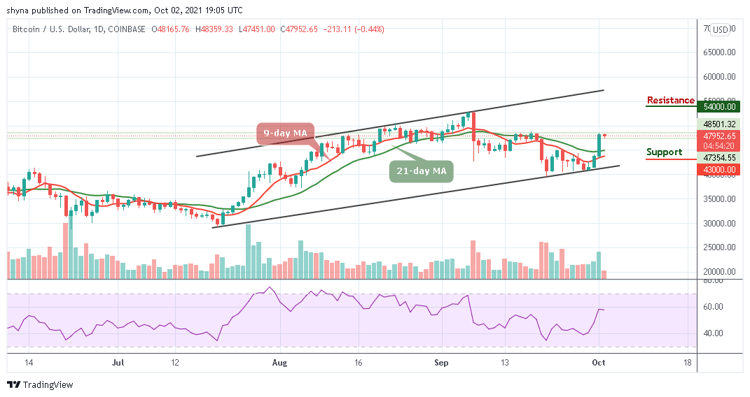 BTCUSD_1D_02092021-1