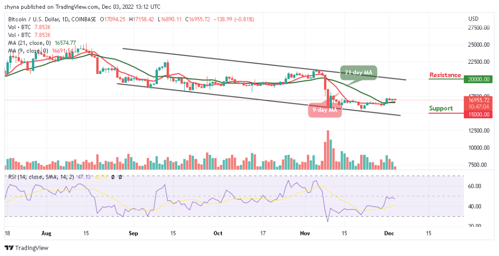BTCUSD_1D_02122022-1024x526-1