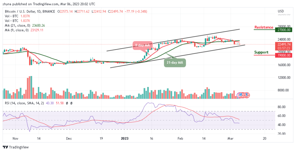 BTCUSD_1D_03032023-1024x526-1