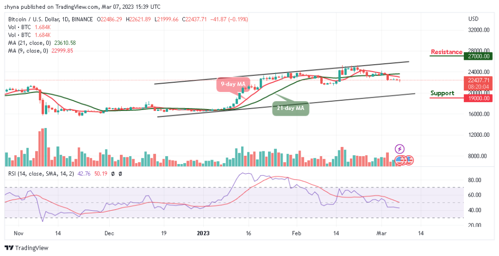 BTCUSD_1D_04032023-1024x526-1