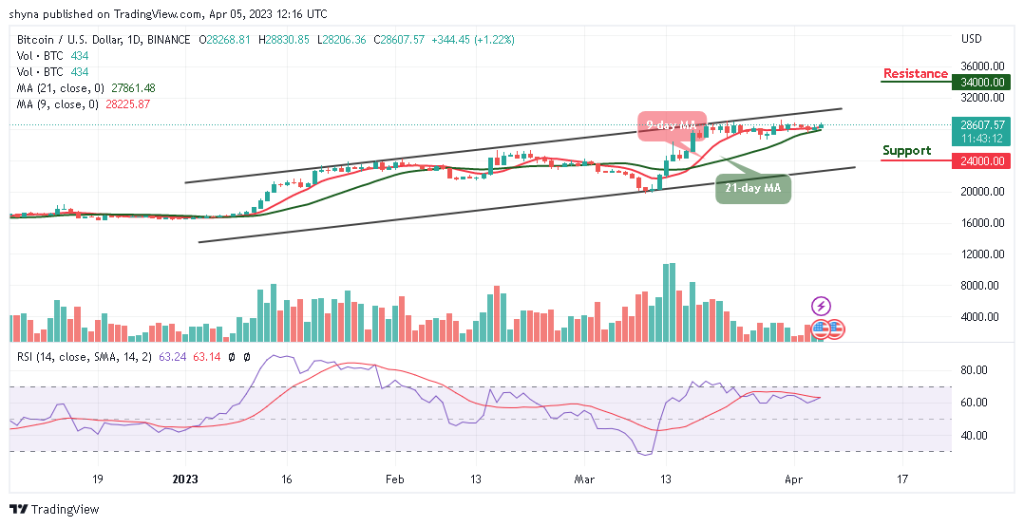 BTCUSD_1D_04042023-1024x526-1