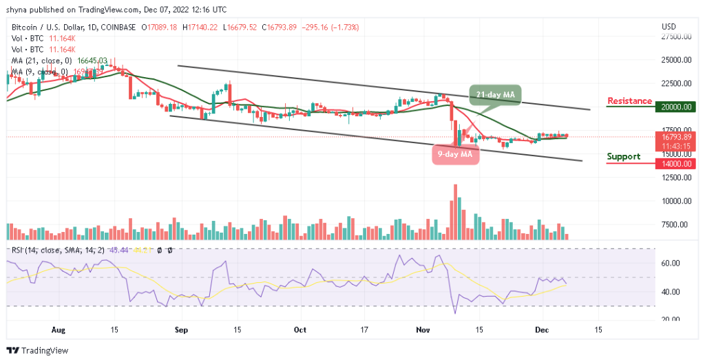 BTCUSD_1D_04122022-1024x526-1