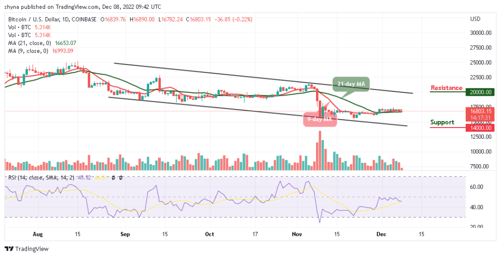 BTCUSD_1D_05122022-1024x526-1