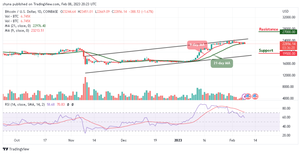 BTCUSD_1D_07022023-1024x526-1