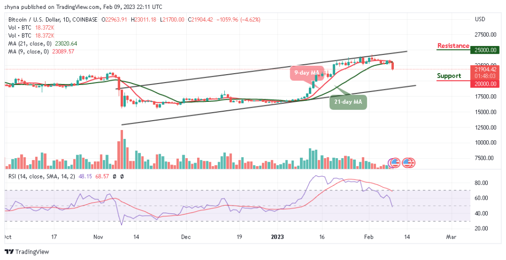 BTCUSD_1D_08022023-1024x526-1